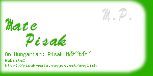 mate pisak business card